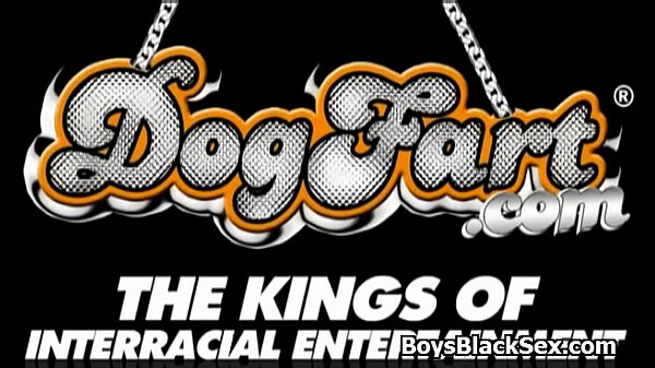 Blacks On Boys – Gay Hardcore Interracial Porn 22
